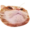 🤪 Эмодзи «Микрокотики (Microcats)» для Telegram