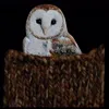 🦉 Эмодзи «Midwest Gothic» для Telegram