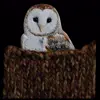 🦉 Эмодзи «Midwestic Gothic» для Telegram