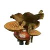 🍄 Эмодзи «Midwestic Gothic» для Telegram