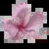 🖤 Эмодзи «Miii» для Telegram