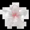 🌸 Эмодзи «Miii» для Telegram