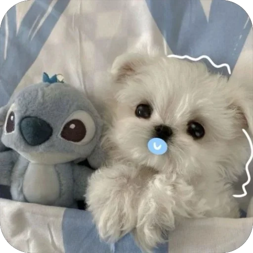 Стикерпак мило для Telegram — скачать