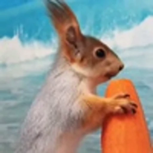 🤩 Эмодзи «Squirrels» для Telegram
