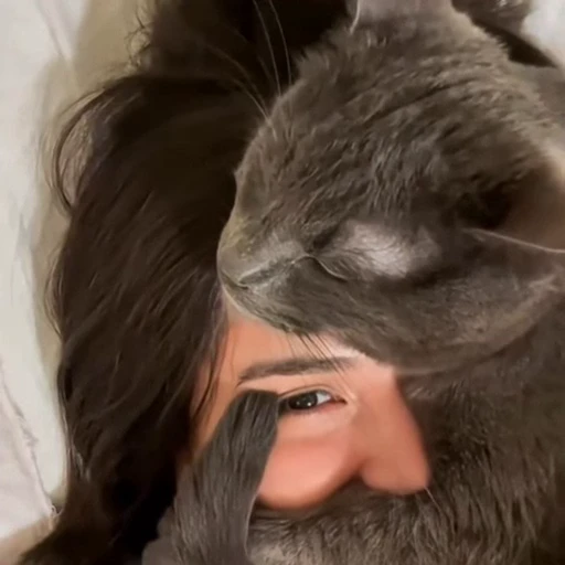 🐈 Стикер «Милые питомцы» для Telegram