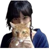 🐈 Эмодзи «гибли» для Telegram