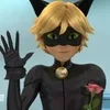🌟 Эмодзи «𝙈𝙞𝙧𝙖𝙘𝙪𝙡𝙤𝙪𝙨» для Telegram