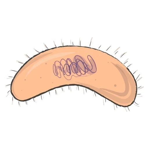 😚 Стикер «Microcosm» для Telegram