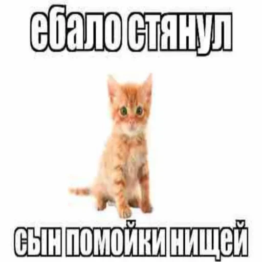 😡 Стикер «Pinoccio» для Telegram