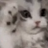 🐱 Эмодзи «🔫🔫🔫 emoji mix» для Telegram
