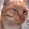 🥴 Эмодзи «🔫🔫🔫 emoji mix» для Telegram