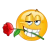 🌹 Эмодзи «🔫🔫🔫 emoji mix» для Telegram