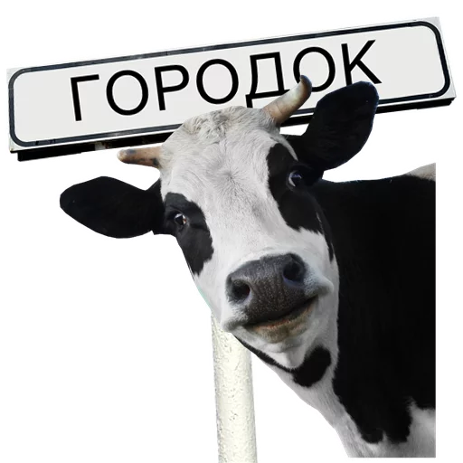 🐄 Стикер «МіжФрак» для Telegram
