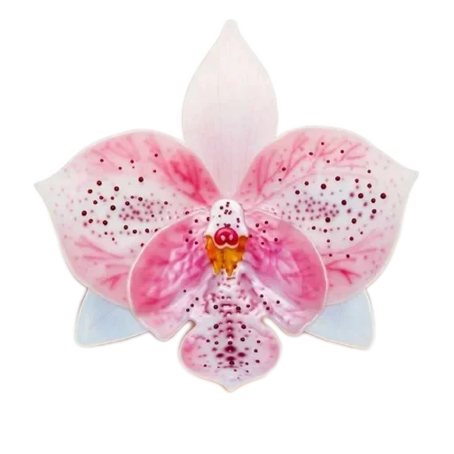 🌸 Стикер «𝙼𝚞𝚜𝚢𝚊 𝚜𝚝𝚒𝚌𝚔𝚎𝚛𝚜» для Telegram