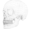 💀 Эмодзи «3D Modelling» для Telegram