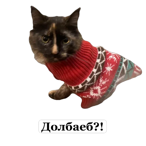 Стикерпак Мое для Telegram — скачать