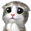 Эмодзи Mofu Kitten для Telegram — скачать