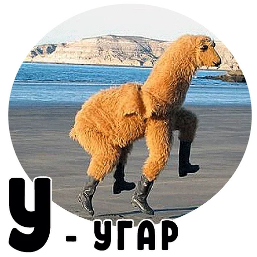 🙂 Стикер «Могу позволить» для Telegram