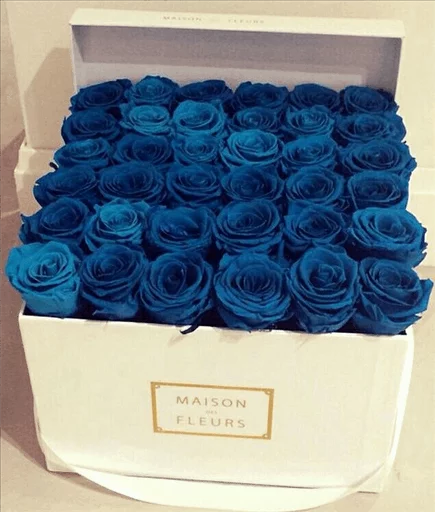 🌹 Стикер «Roses» для Telegram