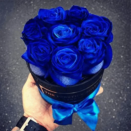 🌹 Стикер «Roses» для Telegram