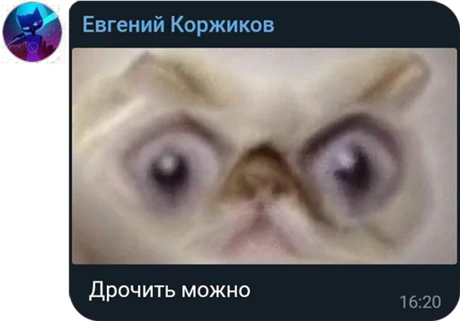 😳 Стикер «Mokka&;s Arts Chat» для Telegram