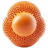 🦠 Эмодзи «3D molecule» для Telegram