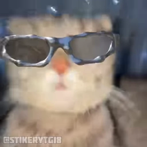 😎 Стикер «Моллик» для Telegram