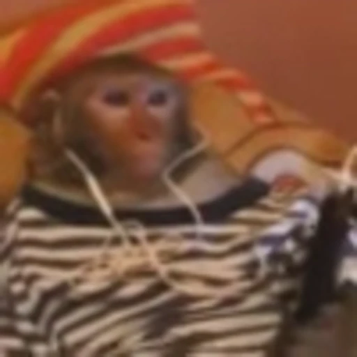 🎧 Эмодзи «Monke» для Telegram
