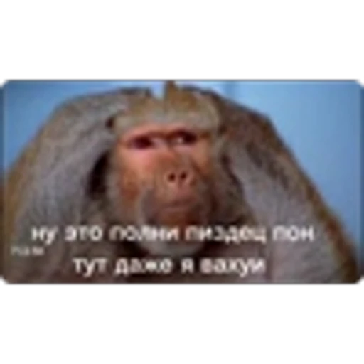 🌟 Эмодзи «Манки» для Telegram