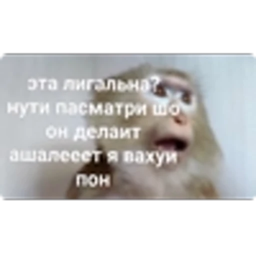 🌟 Эмодзи «Манки» для Telegram