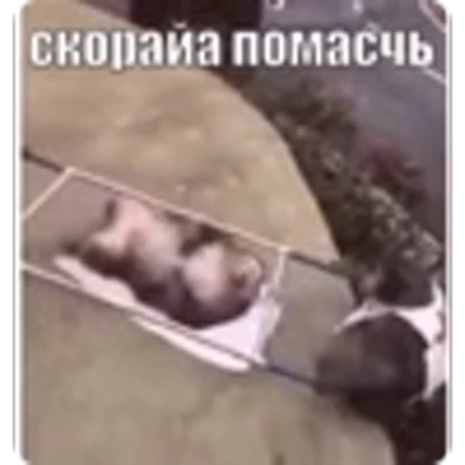 🌟 Эмодзи «Манки» для Telegram