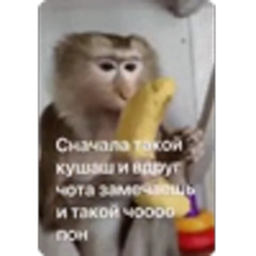 🌟 Эмодзи «Манки» для Telegram