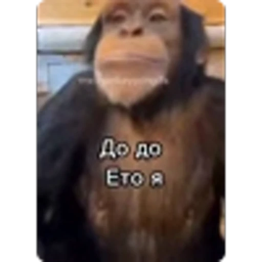 🌟 Эмодзи «Манки» для Telegram