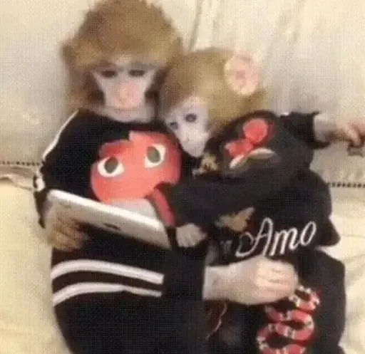 ❤️ Стикер «Monkey Memes» для Telegram