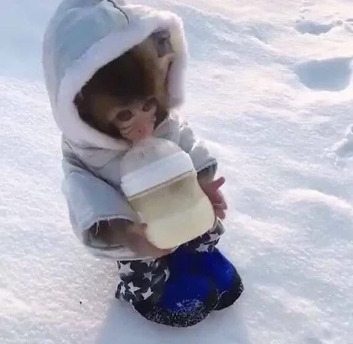 👶 Стикер «Monkey Memes» для Telegram