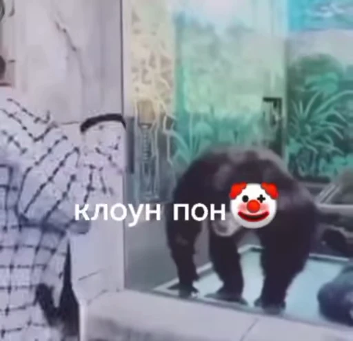 Стикерпак абизяна пони 3 для Telegram — скачать