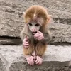 🤔 Эмодзи «monkeys» для Telegram