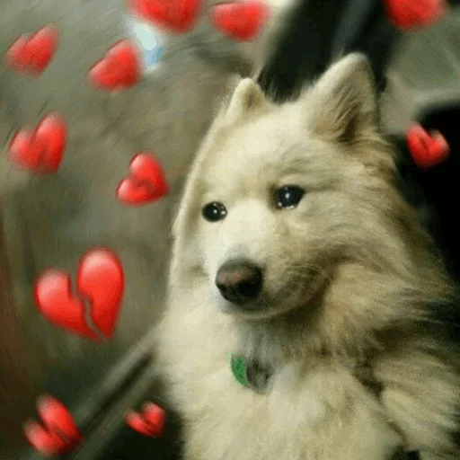 🌵 Стикер «~Mood "» для Telegram