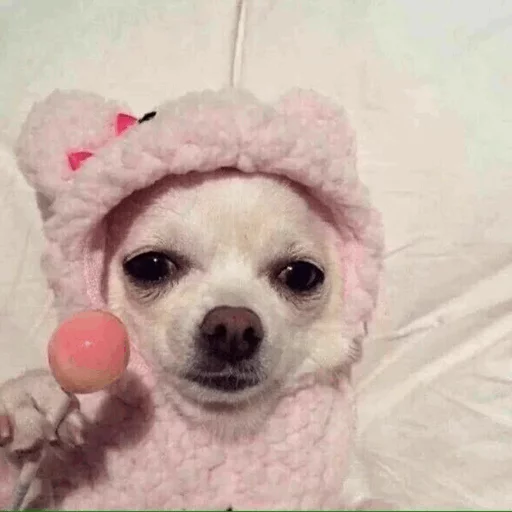 🌵 Стикер «~Mood "» для Telegram