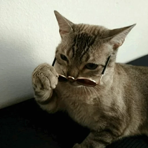 🌵 Стикер «~Mood "» для Telegram