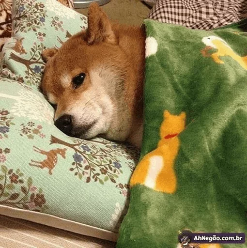 🌵 Стикер «~Mood "» для Telegram