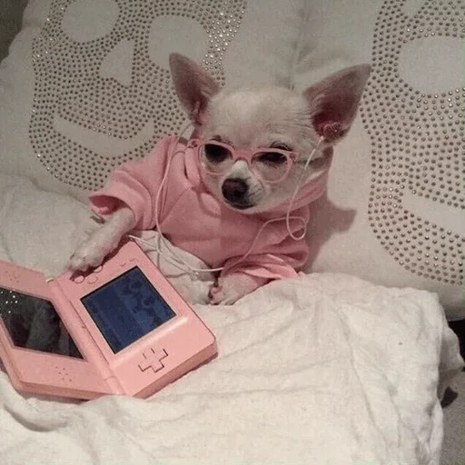 🌵 Стикер «~Mood "» для Telegram
