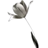 🌟 Эмодзи «Moon #style #status» для Telegram