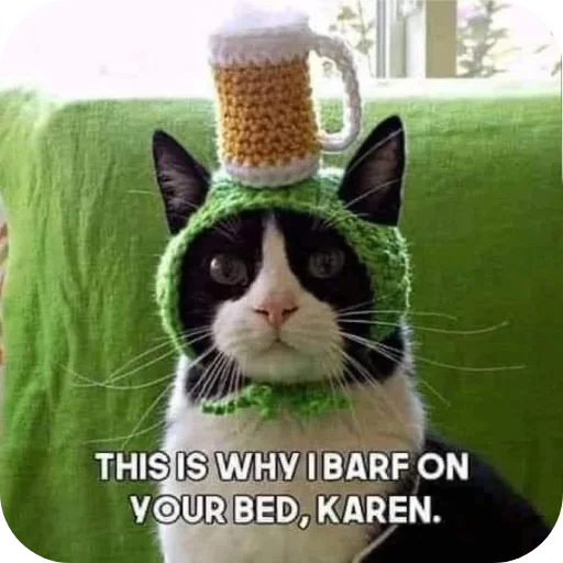 🐱 Стикер «more shrooms» для Telegram