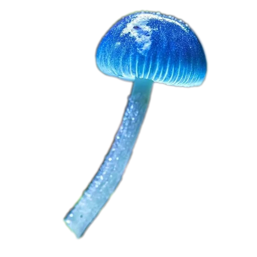 🪴 Стикер «more shrooms» для Telegram