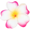 🌸 Эмодзи «morning» для Telegram
