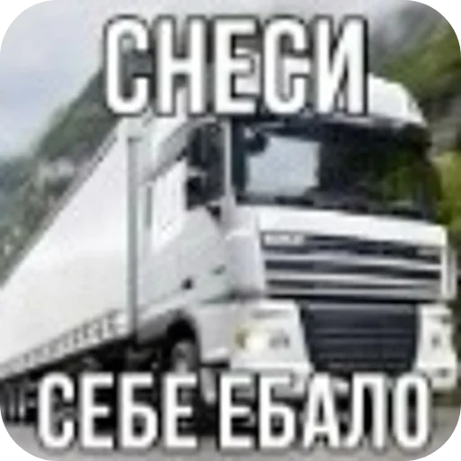 🚗 Стикер «Мошонкэ и не только» для Telegram
