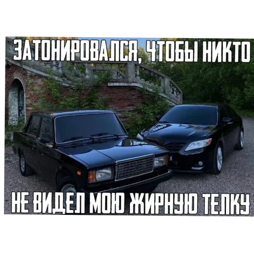 🚗 Стикер «Мошонкэ и не только» для Telegram