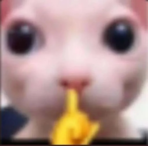 🤫 Стикер «cats.mos?» для Telegram