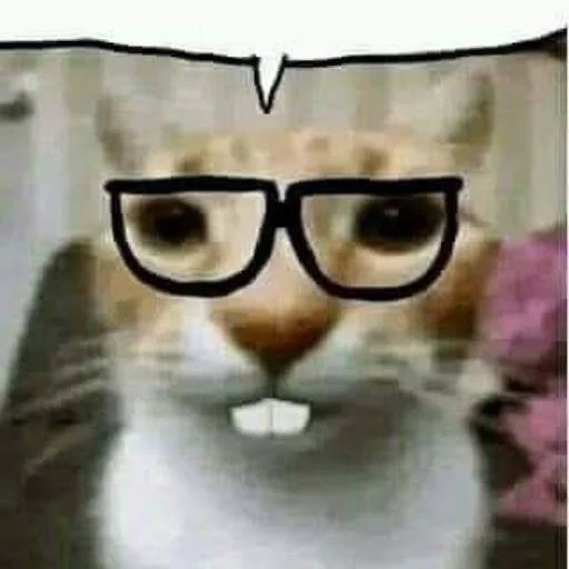 🤓 Стикер «cats.mos?» для Telegram